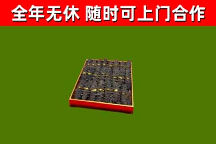 安仁烟酒回收海参.jpg